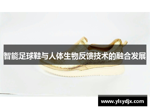 智能足球鞋与人体生物反馈技术的融合发展